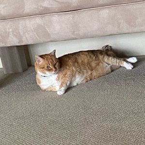 Meet your Posher, Chris and kathy